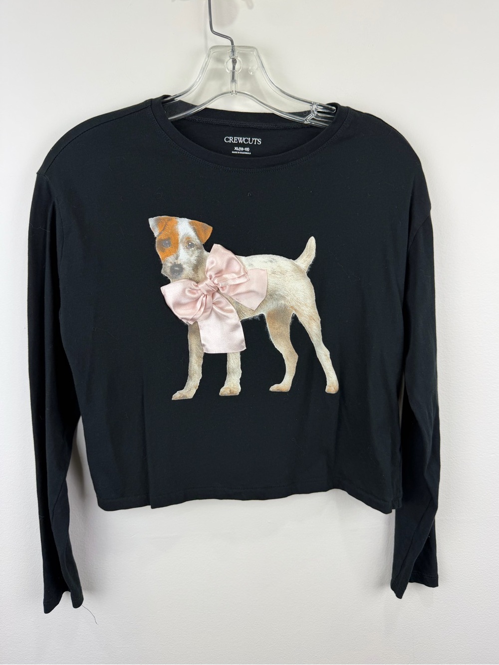 Crewcuts by J.Crew Jack Russell Dog Graphic Long Sleeve Tee Black XL (12–13)